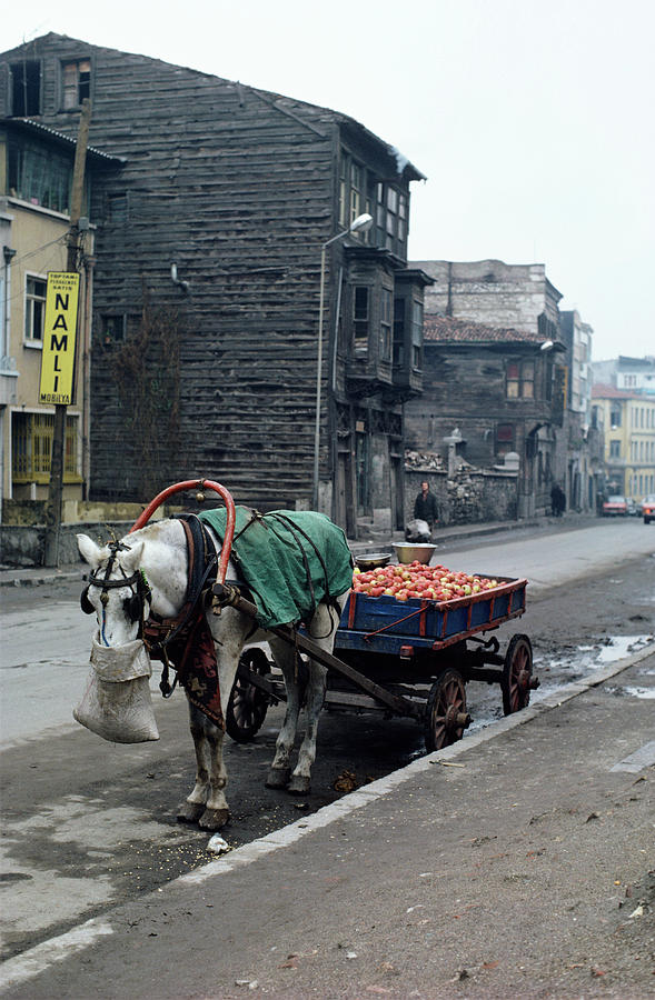 Horse And Cart Photograph by Robert Brook/science Photo Library