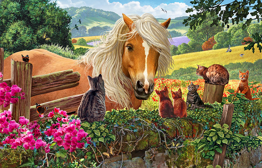 Horse And Cats Photograph by MGL Meiklejohn Graphics Licensing