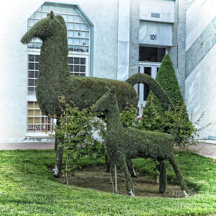 Horse and Foal Topiary Spain Digital Art by Dee Flouton
