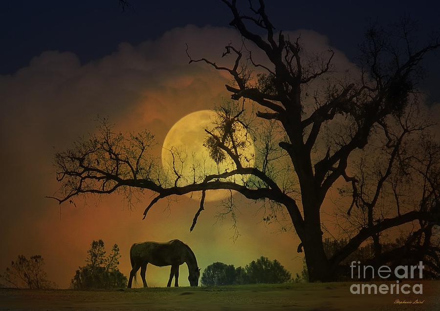 Horse and Moon Photograph by Stephanie Laird