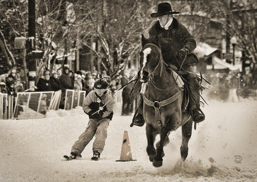 Horse and Skier Slalom in Sepia Photograph by Daniel Hebard