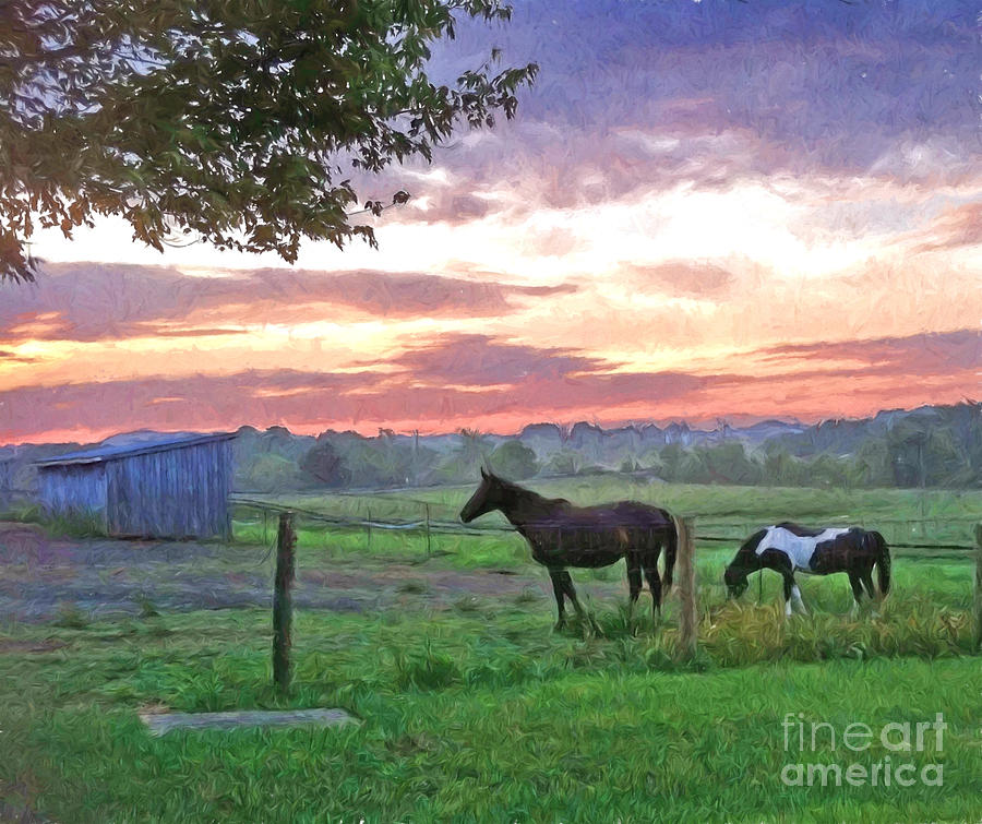 Horses at Dawn Photograph by Kerri Farley