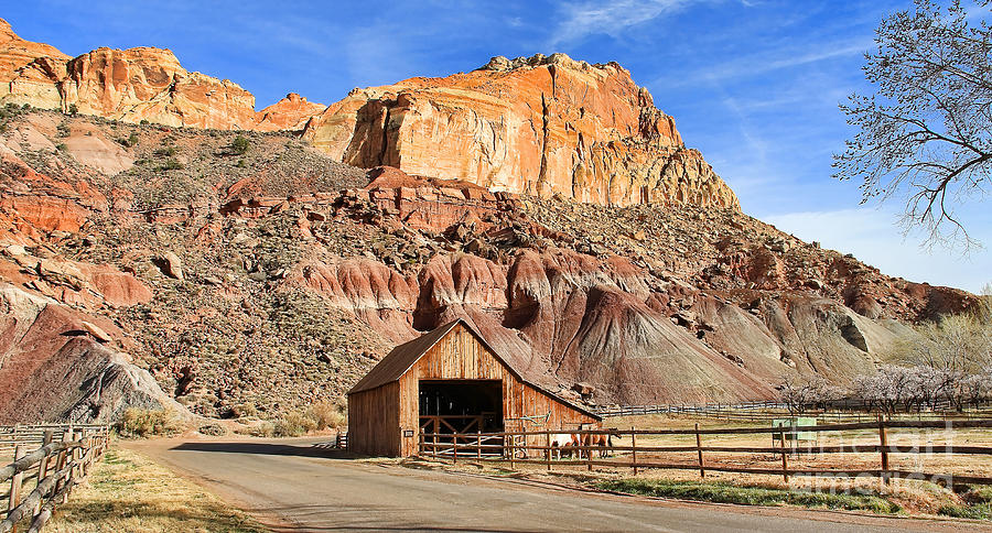 Horse Barn at Capitol Reef Photograph by Jack Schultz