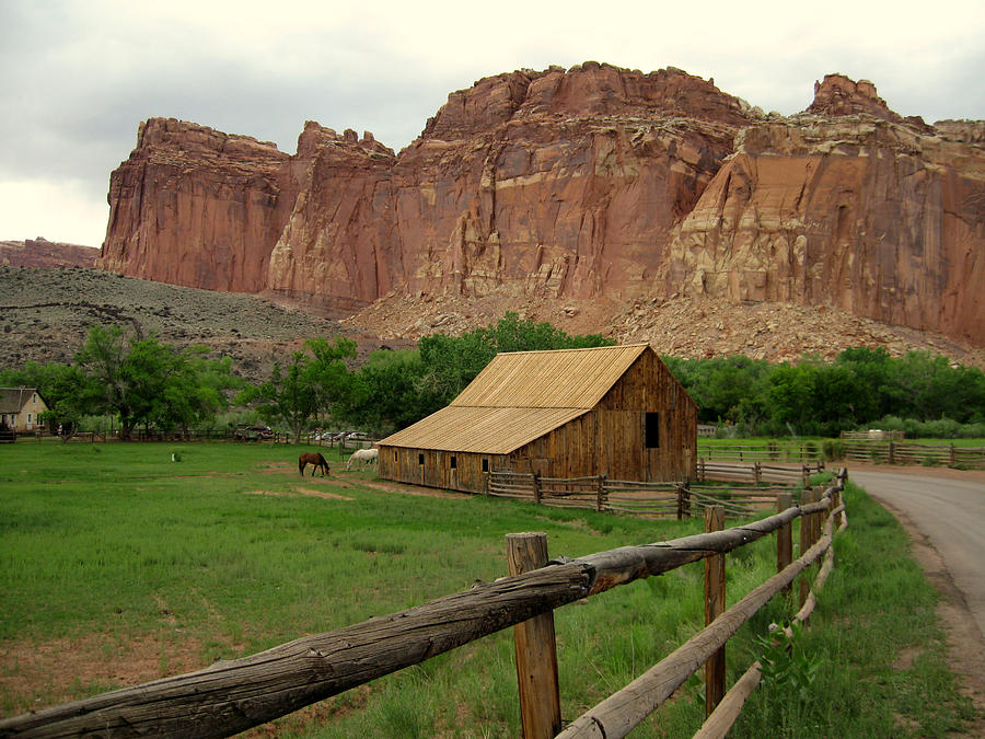 Horse Barn Photograph by Bob Coyle - Fine Art America