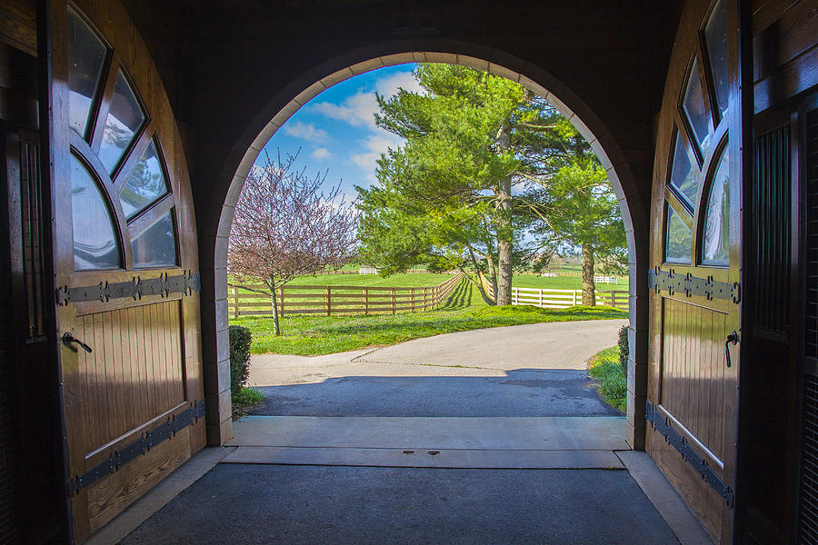 Horse barn Photograph by Jack R Perry