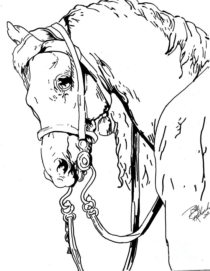 Horse Drawing by Bill Richards | Fine Art America