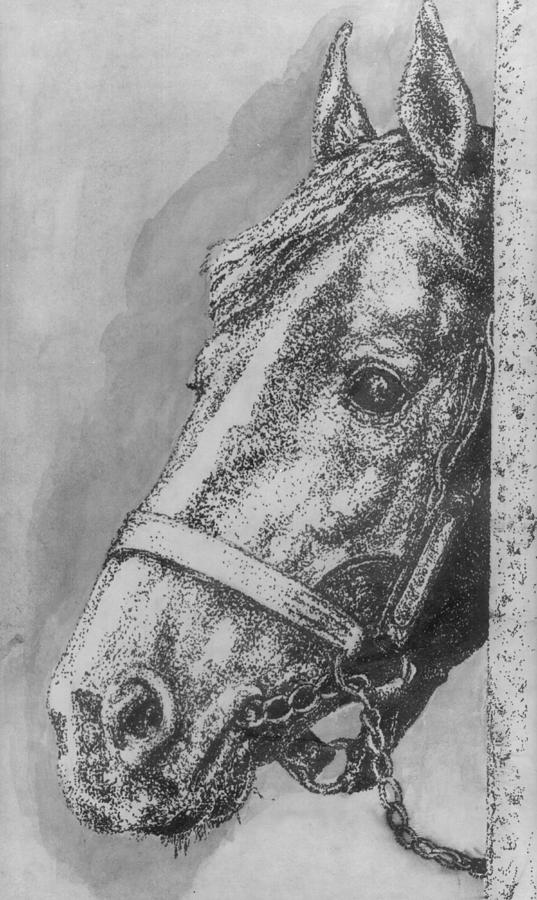 Horse  Drawing by Bryan Bustard