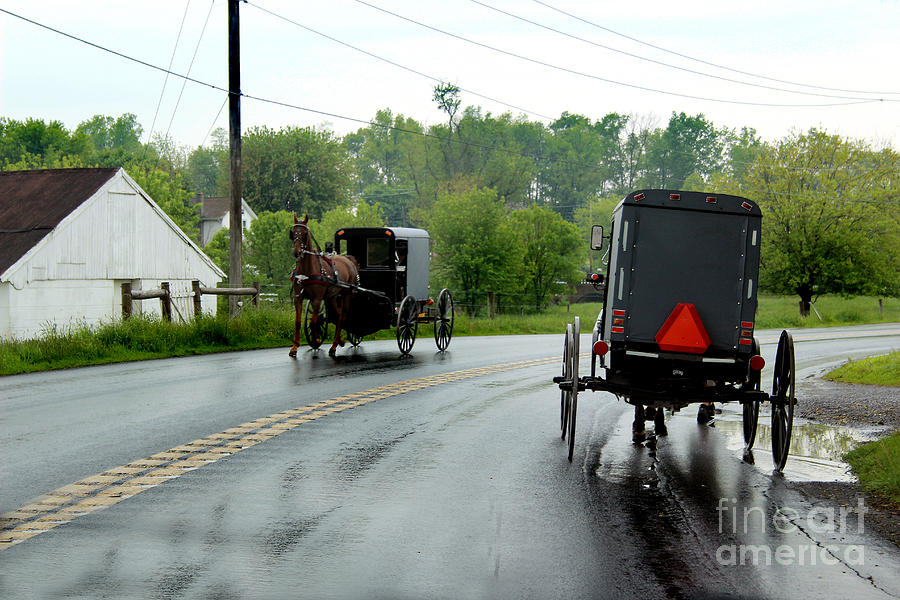 Horse Buggies on a Rainy Day Photograph by Karen Adams