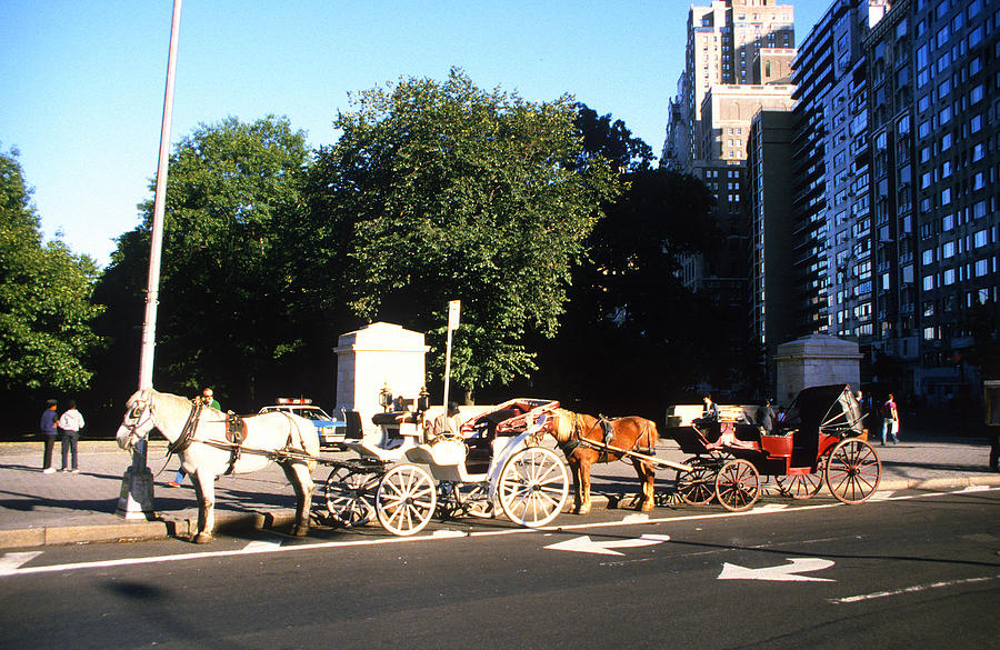 Horse Carriage Rides in New York City 1984 Photograph by Gordon James