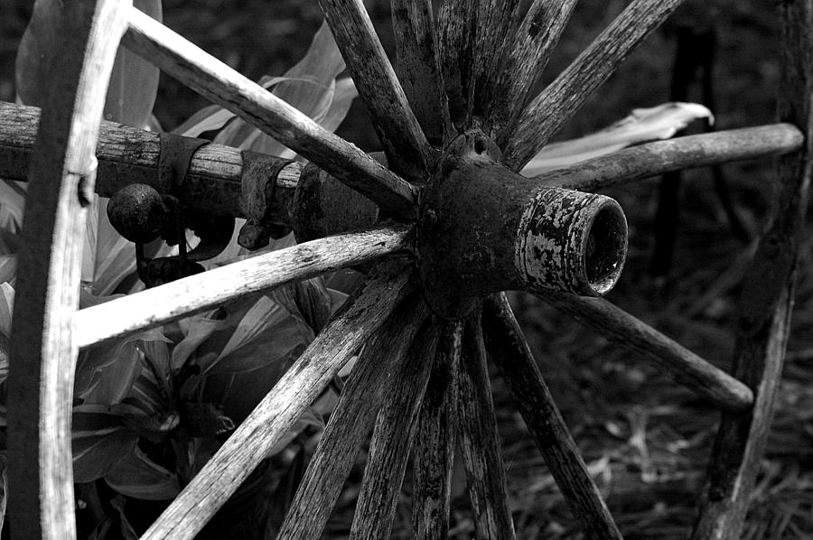 Horse Carriage Wheel Photograph by David Weeks