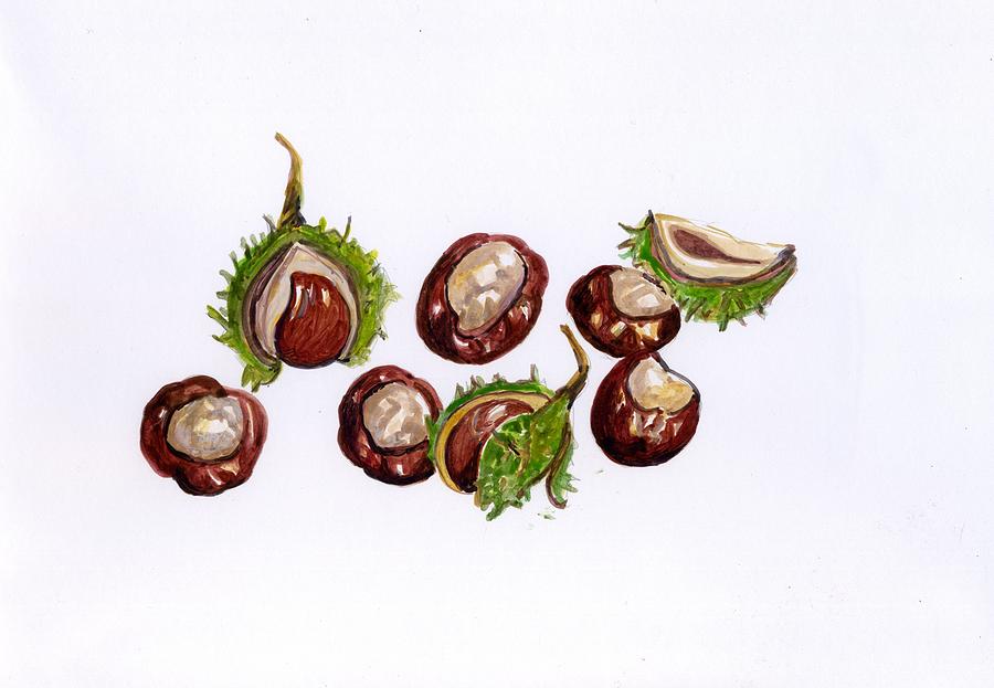 Fruit Painting - Horse Chestnut conkers. by Wendy Le Ber