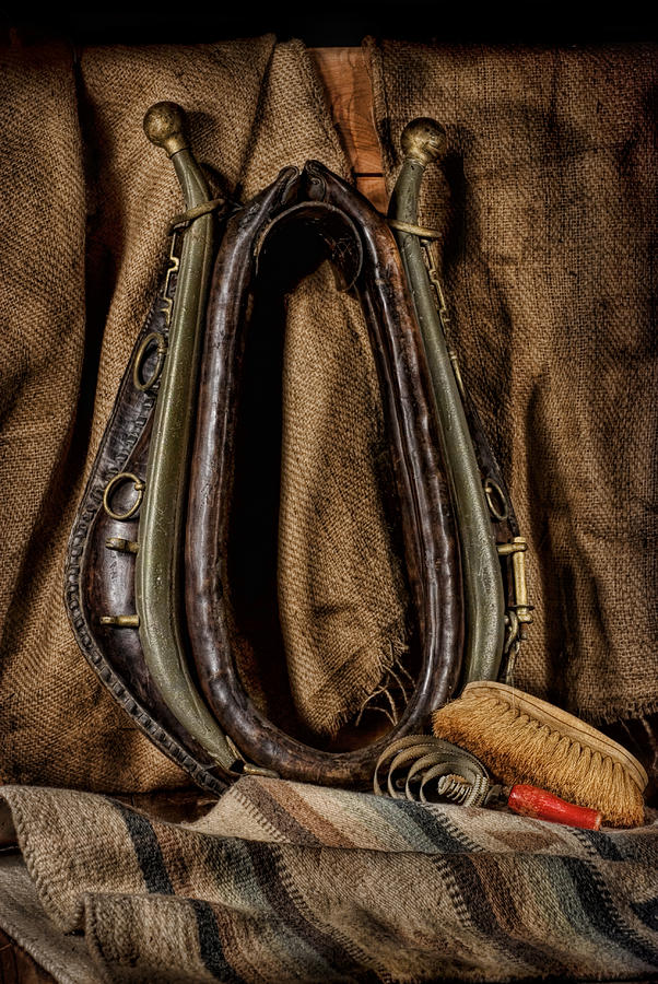 Still Life Photograph - Horse Collar and Hames with Curry Comb and Dandy Brush by Leah McDaniel