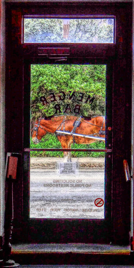 Horse Door Photograph by Tom DiFrancesca