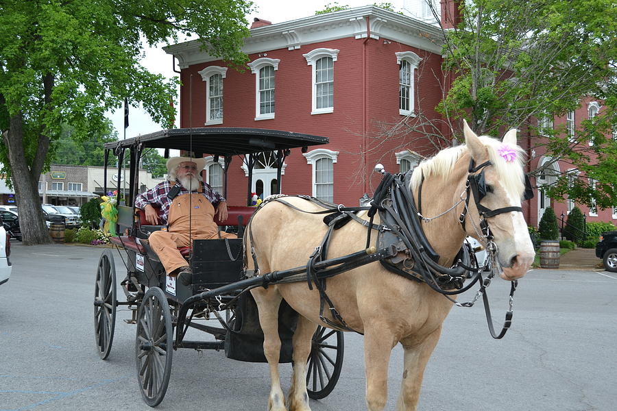 Horse Drawn Buggy Photograph by Daryl Baker - Pixels