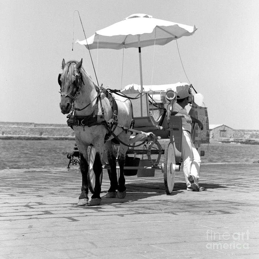 Horse drawn carriage in Crete Photograph by Paul Cowan