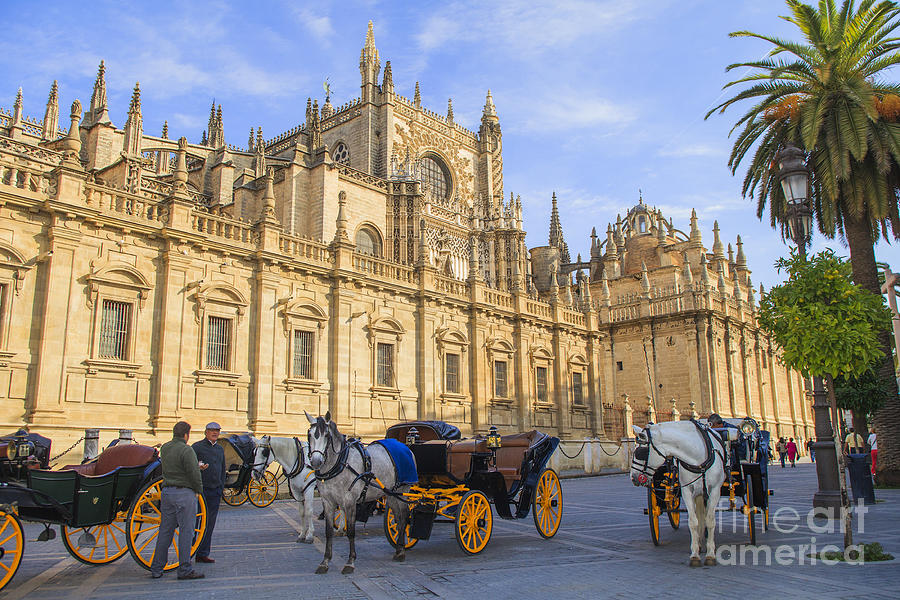 Horse drawn carriages in Seville Photograph by Patricia Hofmeester