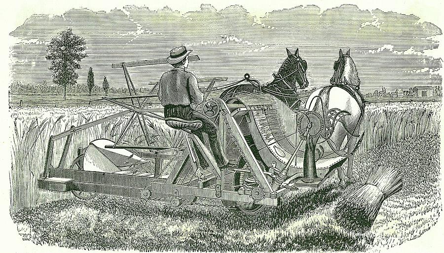 Horse-drawn Self-binding Reaping Machine Photograph by Universal History Archive/uig