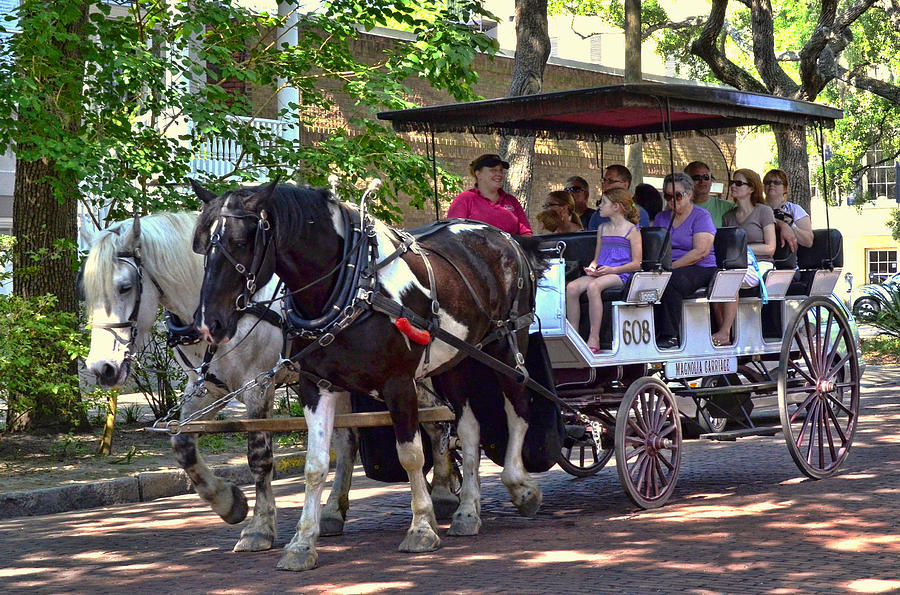 Horse Drawn Tourist Carriage Photograph by Allen Beatty