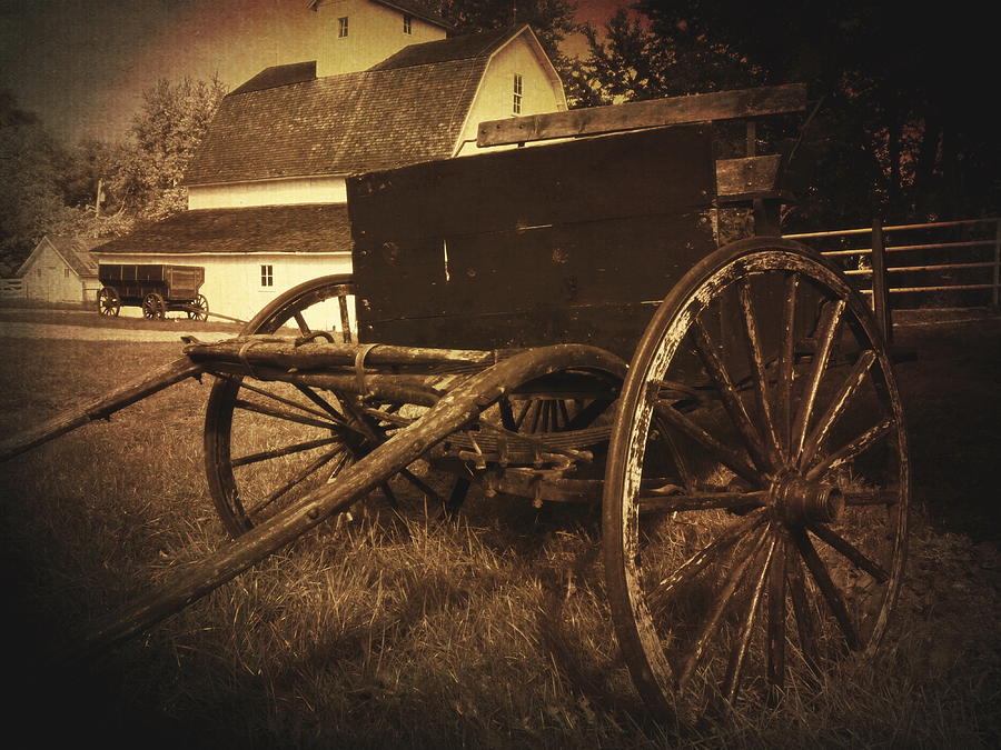 Horse Drawn Wagon Photograph by Scott Kingery