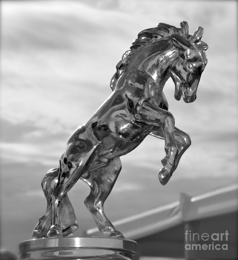 Indiana Hood Ornament in black and white Photograph by Pamela Walrath