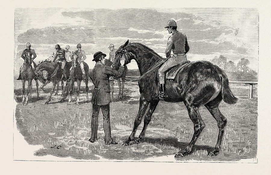 Horse, Engraving 1884, Life In Britain, Uk, Britain Drawing by Charlton ...