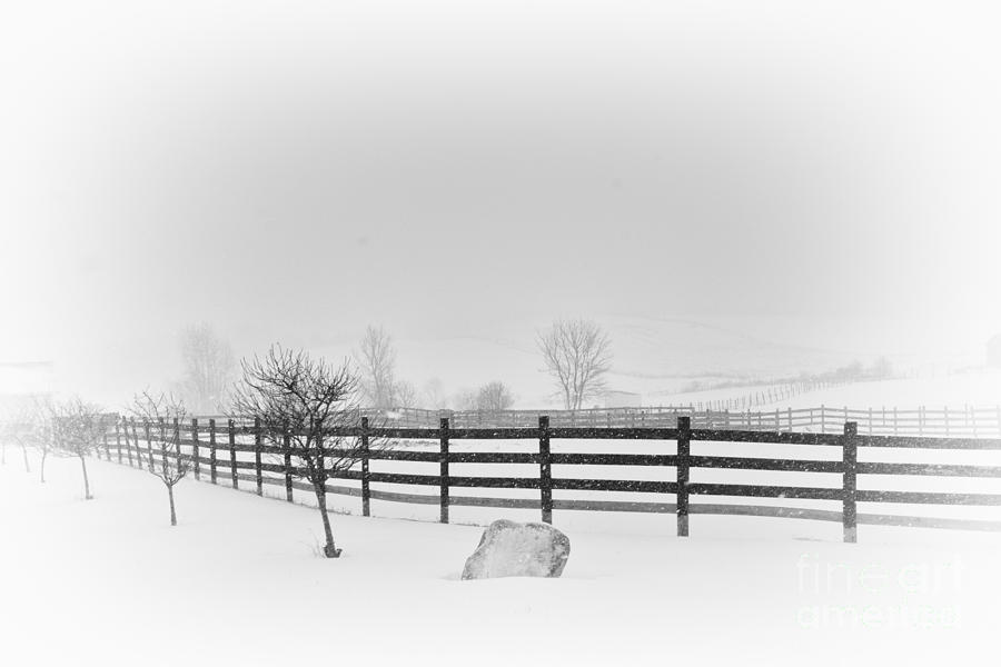 Horse Farm in Winter Storm Canandaigua 2014 Photograph by Joseph Duba ...