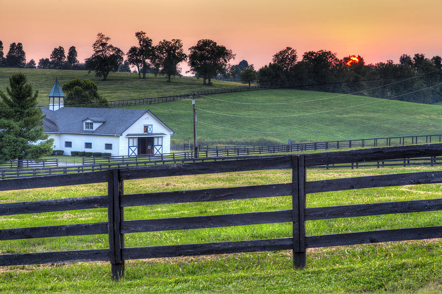 Horse Farm Sunset Photograph by Alexey Stiop