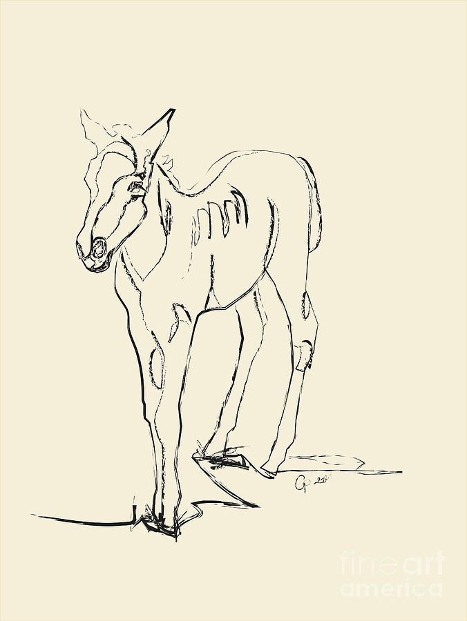 Horse- foal -Josje Digital Art by Go Van Kampen