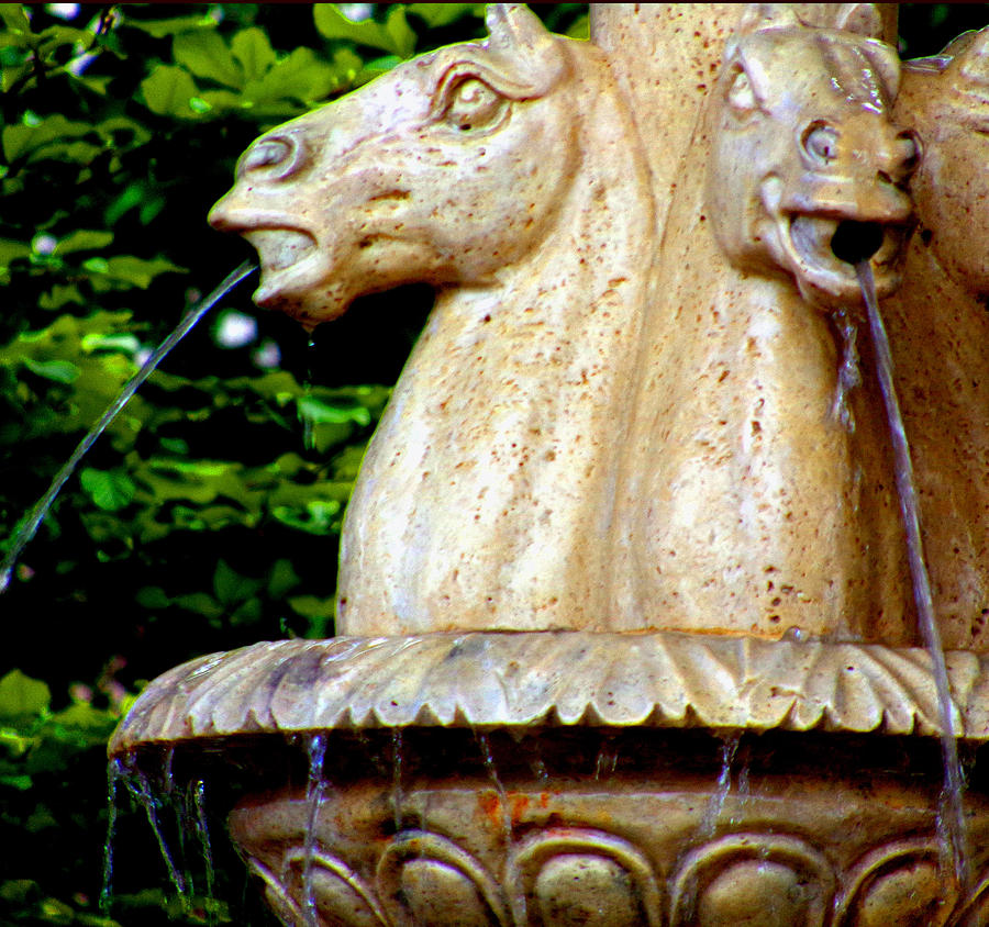 Horse Fountain Photograph