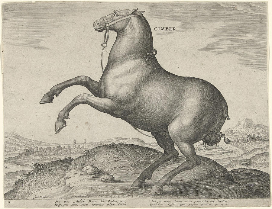 Horse Drawing - Horse From Scythia, Hieronymus Wierix, Philips Galle by Hieronymus Wierix And Philips Galle