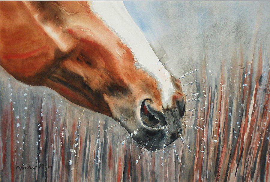 Horse Painting - Horse Frost by Kristine Plum