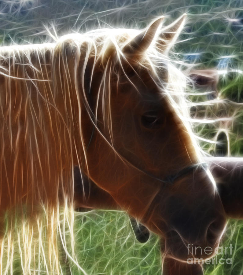 Animal Photograph - Horse Hair by Beverly Guilliams