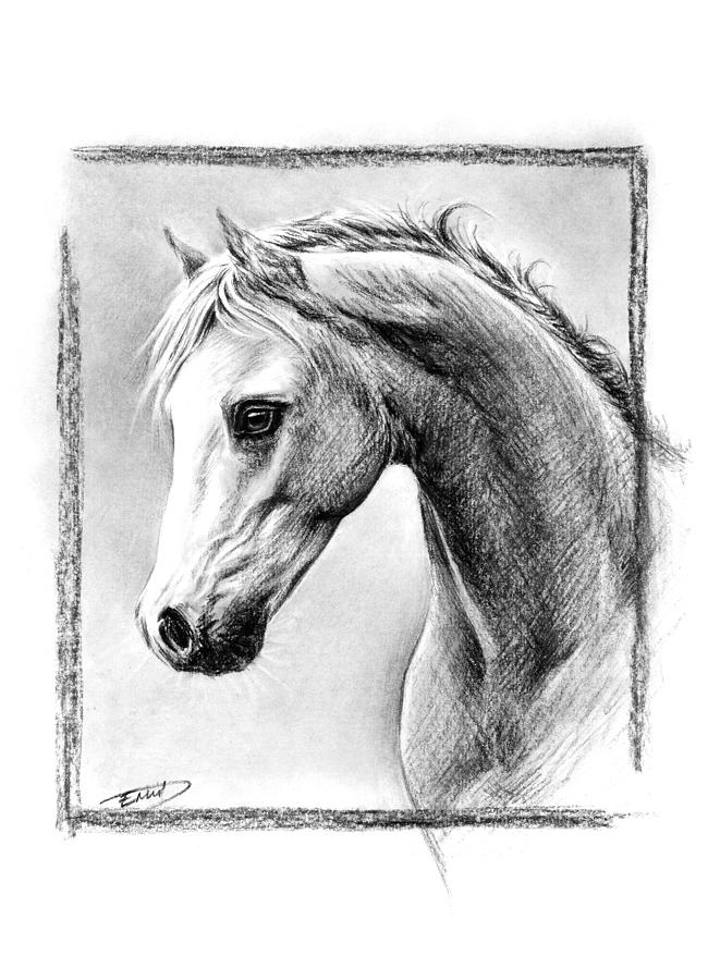 white horse face drawing