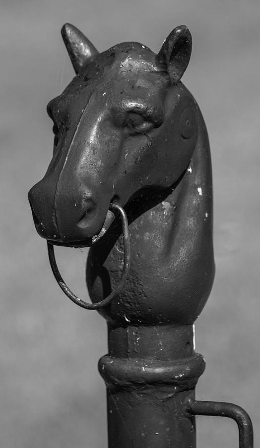 Horse Head Hitching Post Photograph by Robert Hebert