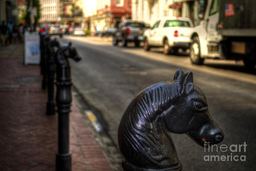 Horse Head Hitching Posts New Orleans Photograph by Timothy Lowry