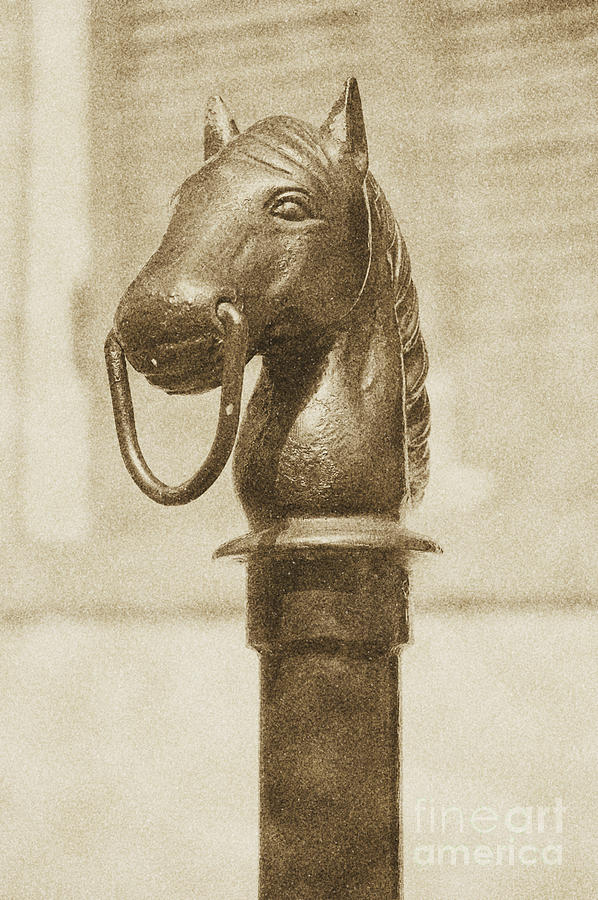 Horse Head Pole Hitching Post Macro French Quarter New ...