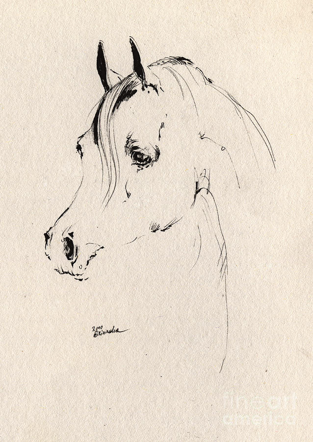 Horse Head Sketch Drawing by Ang El