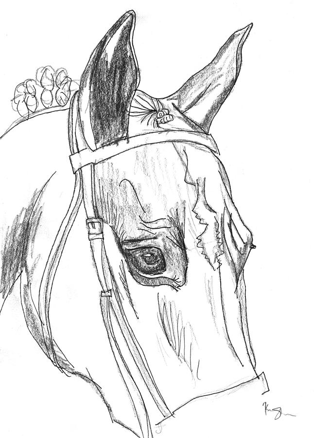 Horse Head sketch by Kirsten Slaney