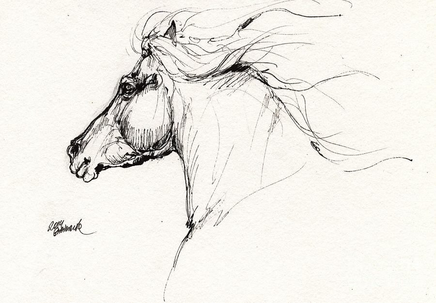 Horse Head Study 2014 05 28 Drawing By Angel Ciesniarska