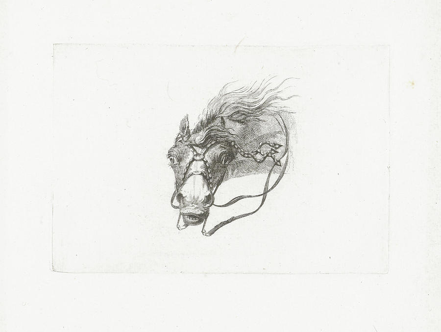 Horse Drawing - Horse Head With Flowing Mane, Joannes Bemme by Joannes Bemme And Gerrit Malleyn