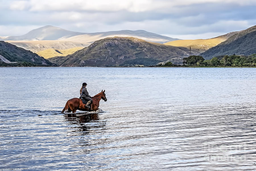 Horse in Airds Bay Loch Etive by Bel Menpes Horse in Airds Bay Loch Etive by Bel Menpes