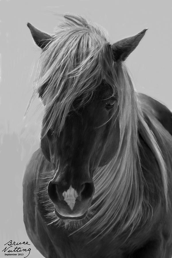 Horse in Black and White Painting by Bruce Nutting