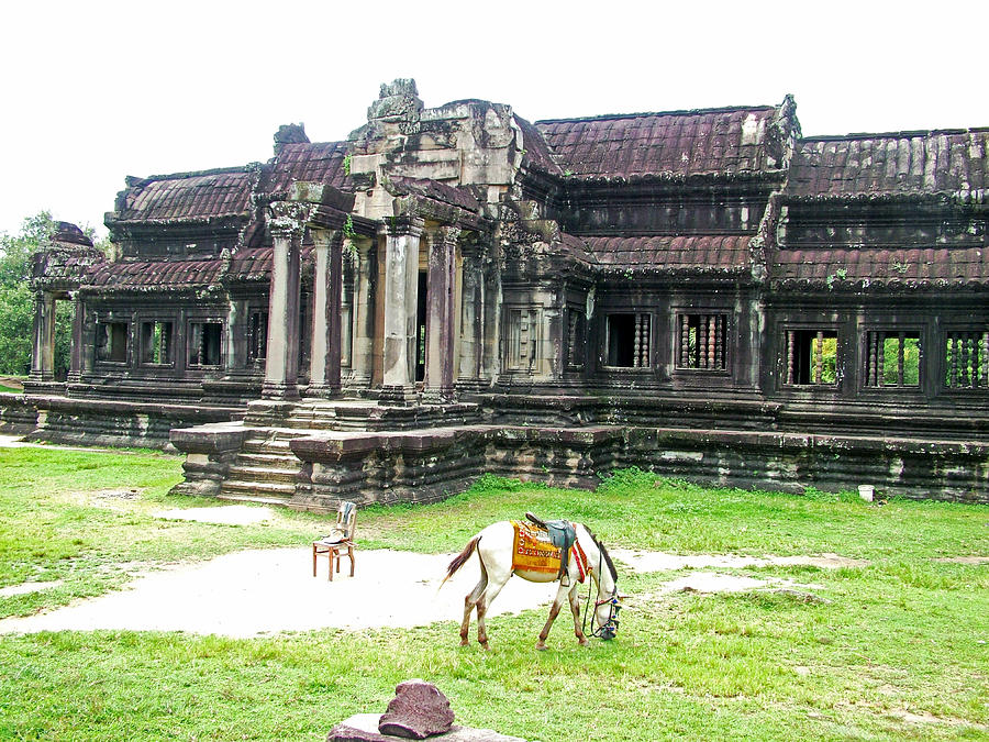 Horse in Front of Outer Building in Angkor Wat in Angkor Wat Archeological Park-Cambodia Photograph by Ruth Hager