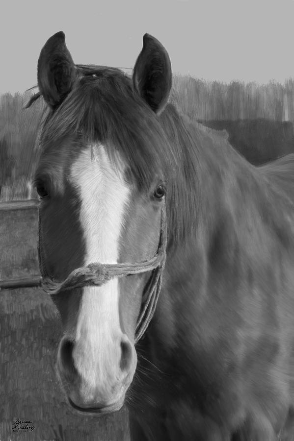 Horse in Gray Painting by Bruce Nutting
