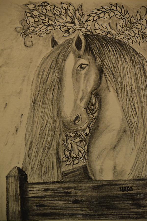 Horse Drawing - Horse in the Paddock by Maria Urso