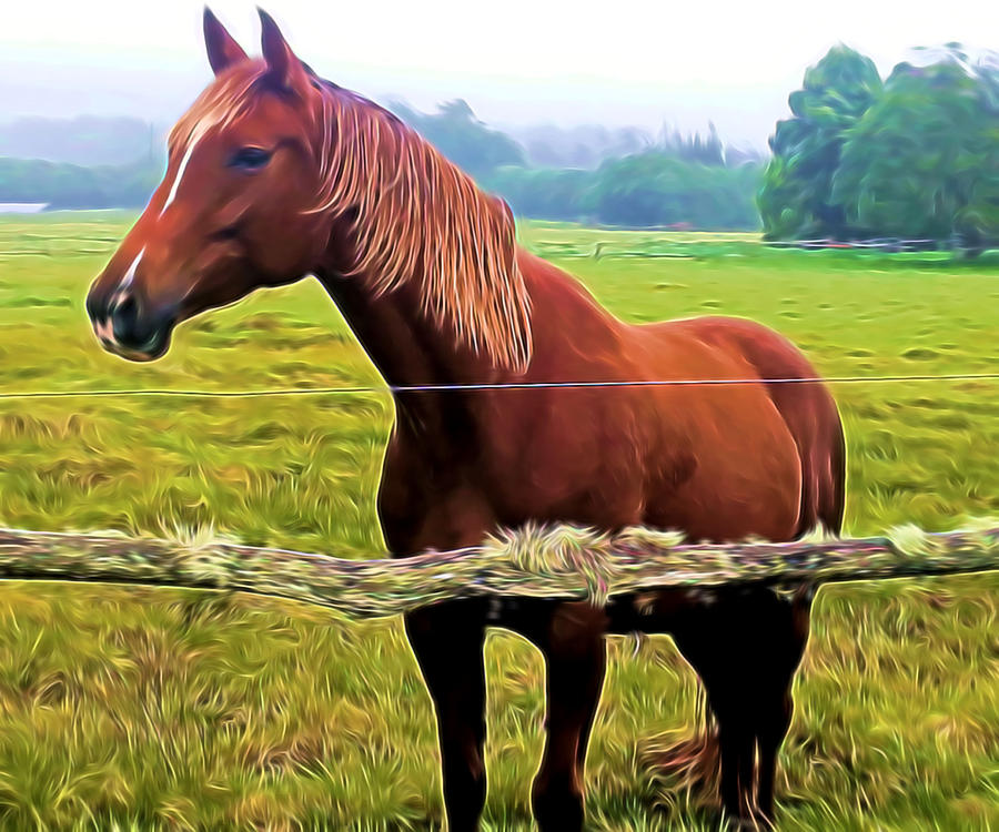 Horse in the Pasture Mixed Media by Pamela Walton