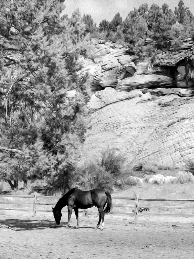 Horse in Zion National Park Photograph by Tracy Winter