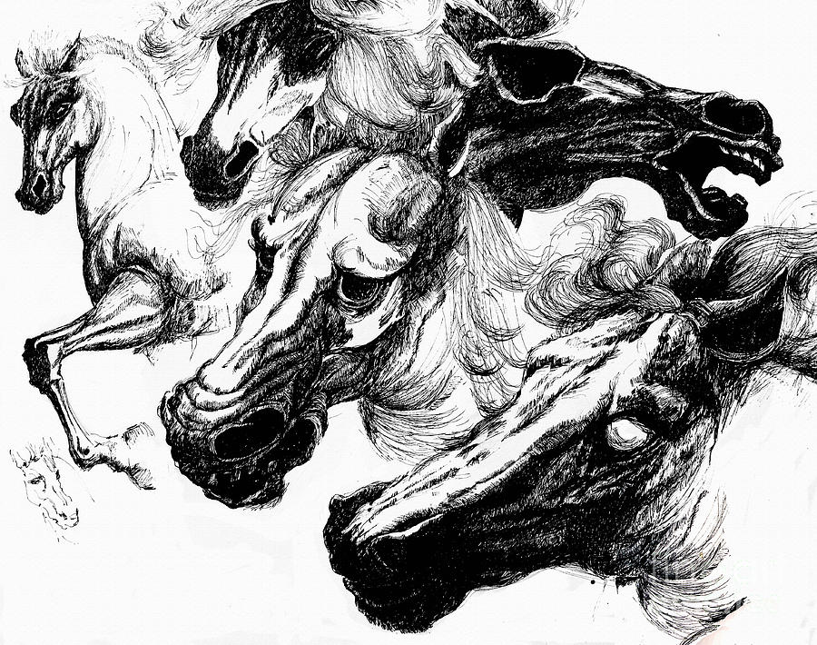 Horse ink drawing  Drawing by Daliana Pacuraru