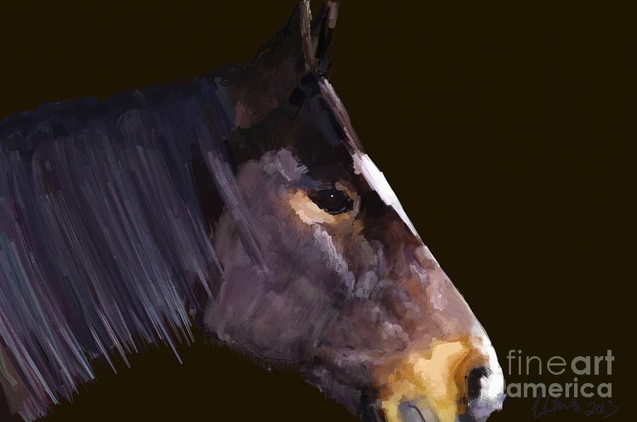 Horse Digital Art by Jon Munson II