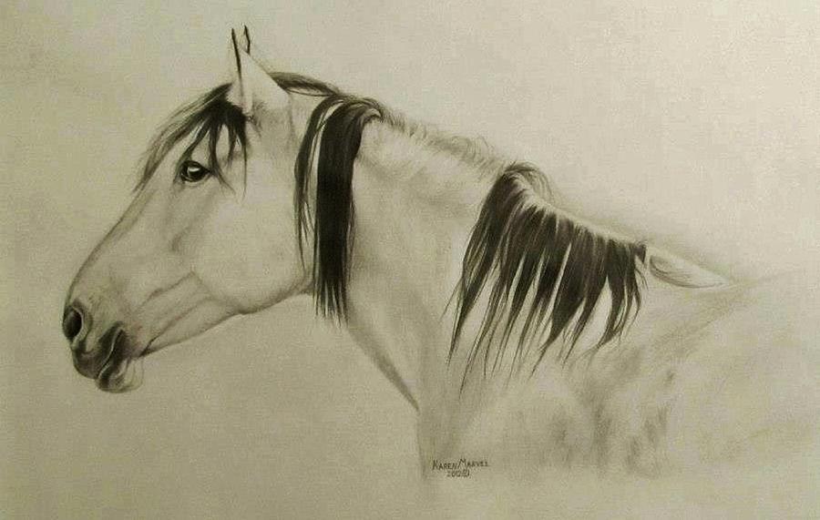 Horse Drawing by Karen Standifer - Fine Art America